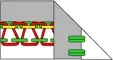 Flatlock шов